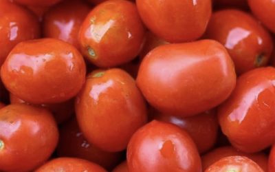 E’ tempo di passata di pomodoro