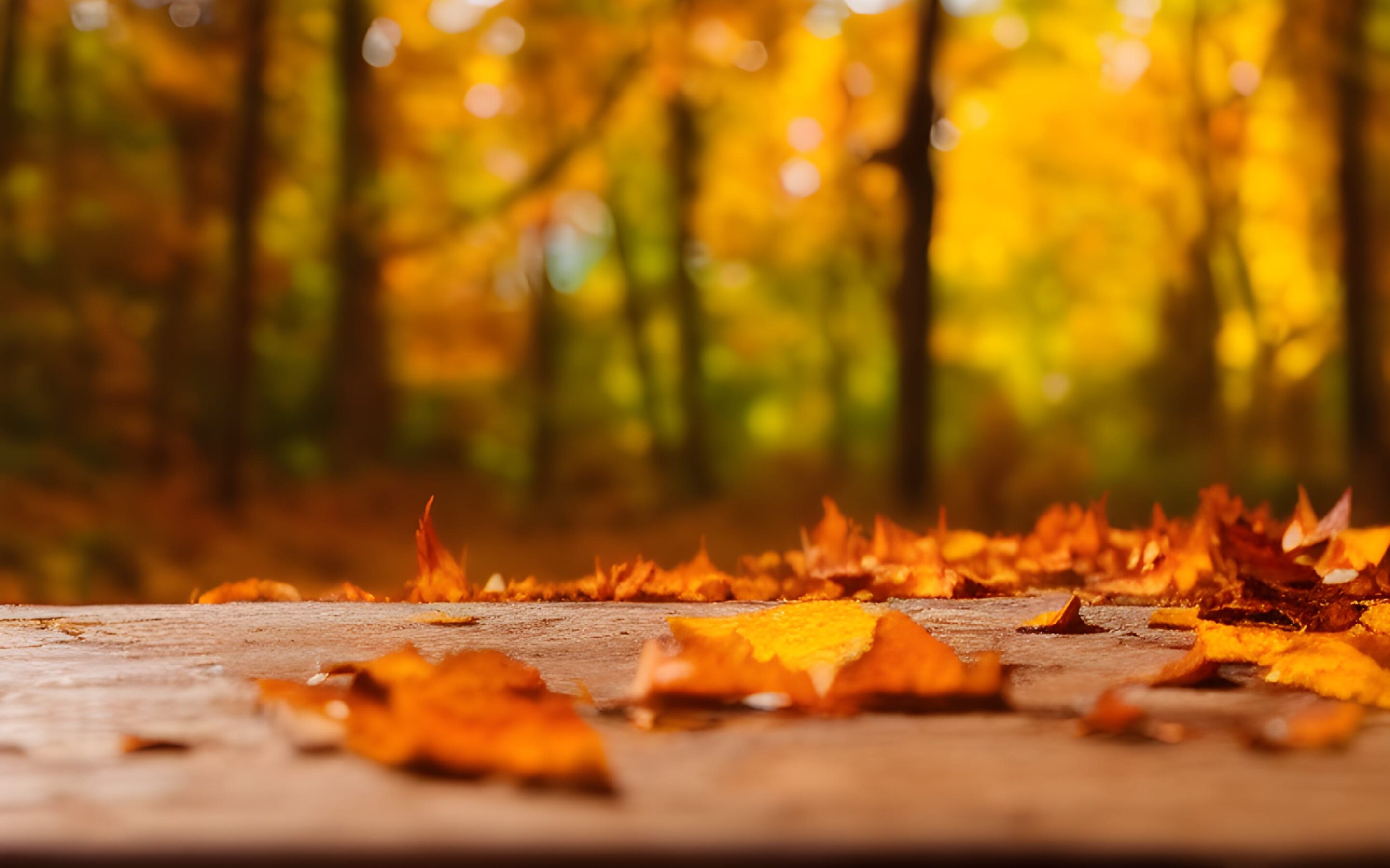 Menu Autunnale della tradizione Modenese