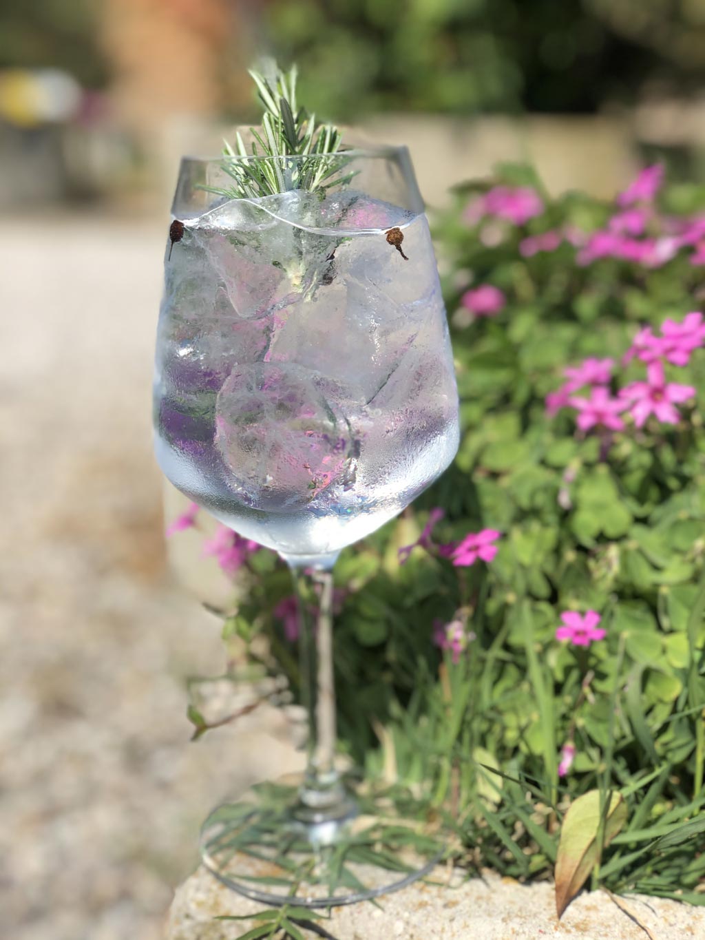 Gin Tonic di Erico | FATTORIA MARIA