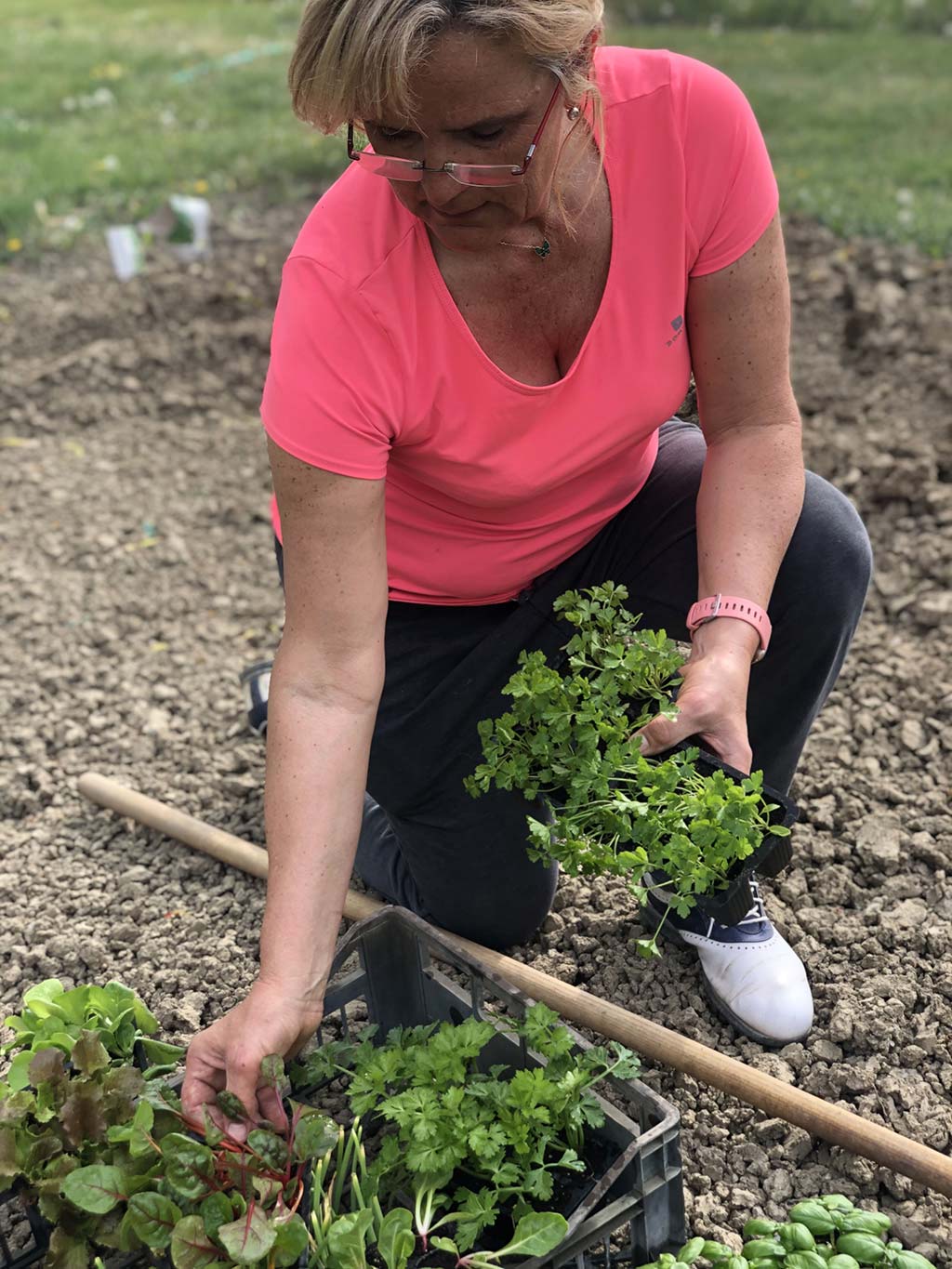 L'Orto e il Frutteto | FATTORIA MARIA