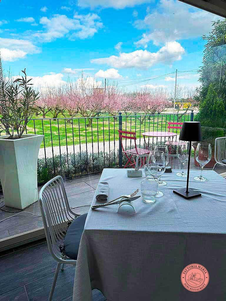 Panorama dalla Veranda del Ristorante | FATTORIA MARIA