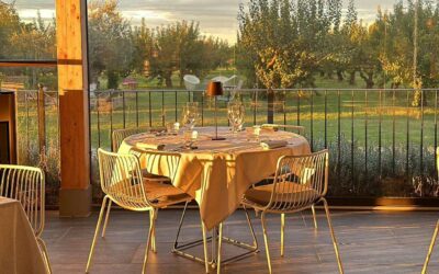 Eventi Aziendali in Fattoria